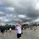 (주)제주협재콘도미니엄 이미지