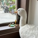넌덕 | [합정] 수제버거 넌덕: 루꼴라 버거 후기