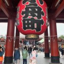 [도쿄여행🇯🇵]미츠이가든시오도메이탈리아가이•아사쿠사기모노•타마치로컬술집•시부야•타치노미(3-4day)