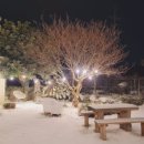 제주 휴식 자쿠지 감성숙소 이미지