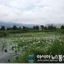 낙동강변10 이미지