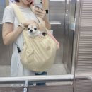 에이미펫 | 노견 강아지 이동가방 내돈내산 앞가방 추천, 에이미러브즈펫 허그프론트백.