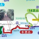 쌍계제 Daum카페