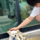 비양리경로당 이미지