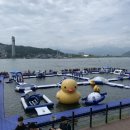 엉클스게스트하우스 | [가평] 친절한수상레저 빠지 + 엉클스게스트하우스 후기