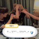 그저 콘서트나 가고 시픈 나애 일상