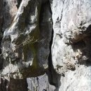 내칠1리 이미지