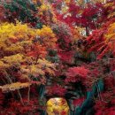 광주무등교회 이미지