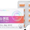 센트럴팜 이미지