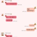 애니테티카 | 성남 분당 애견미용 역대급 맘에 들었던 애니테티카 후기
