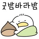 씨엘오션호텔 이미지