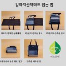 강아지 멋내기 이미지