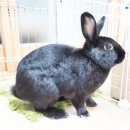 장우진동물병원 이미지