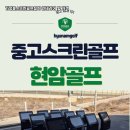 비치스크린골프