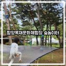 목재문화체험장 | [아이랑 가볼 만한 곳] 함양 목재문화체험장 숲놀이터 후기
