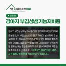제주24시숨동물의료센터 이미지