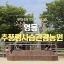 모아모아추풍령 이미지