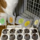 노보리지 이미지