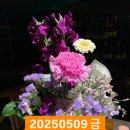 5월 9일 金요일에 비노떼와인 金민수가 진행하는 金金비노떼와인시음회-이태리와인편에 초대합니다!!! 이미지
