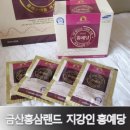 금산홍삼랜드 이미지