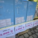 제1회 장유대끼리 수국축제 리얼후기 | 체험종류 수국개화상태