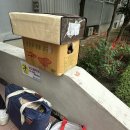 별난만두일산탄현점 이미지