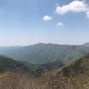 천자봉 농장 이미지