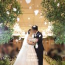 Wedding12-8. &lt;모든스냅&gt; 힐스카이웨딩홀 본식(플라워샤워) 촬영 후기