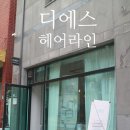 디에스헤어 네이버블로그