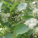 기봉농장 이미지