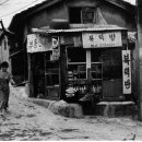 복+방 부동산중개 이미지