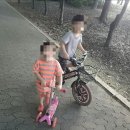 서포바다약국 | 서베키여름 방문후기