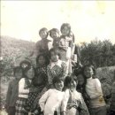 성진농약사 이미지