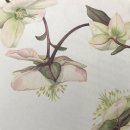 쉽게 배우는 꽃 그리기 이미지