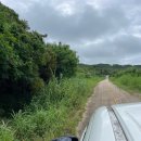 투어이스트 | 이스트베이투어 후기