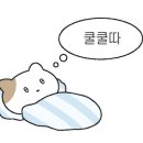 몽키타운