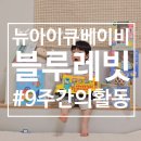 투래빗잉글리시 | 블루래빗 아이큐베이비, 월령별 선택하기 어려울때 다가온 선물종합셋투🩶