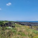 해뜨는바다펜션민박 이미지