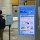 (주)쏠바이오 | [청주공항] 주말 오전 청주공항 주차장 이용 후기 주차장별 차이점!