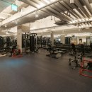 아인스 휘트니스 이미지