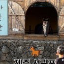무화목장 네이버블로그