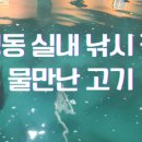 탑낚시카페 이미지