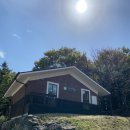 구상나무 화장실 이미지