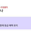 트립통