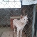 고봉이네 이미지