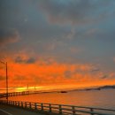 시드니 | 시드니 여행 후기 : 여자 혼자 시드니 5박 6일 후기 (with. Jetstar 항공)