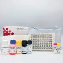 SG메디칼 이미지