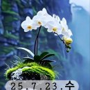 &#34;홍하사의 잡다한이야기&#34;---(1430) &#34;인생 이야기&#34;---(355) (자연과 사람) &amp; (중국의 괴벨스 &#39;왕후닝&#39;) 이미지