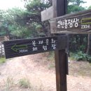 송이밸리자연휴양림 이미지