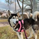 올리스24 명지점 이미지